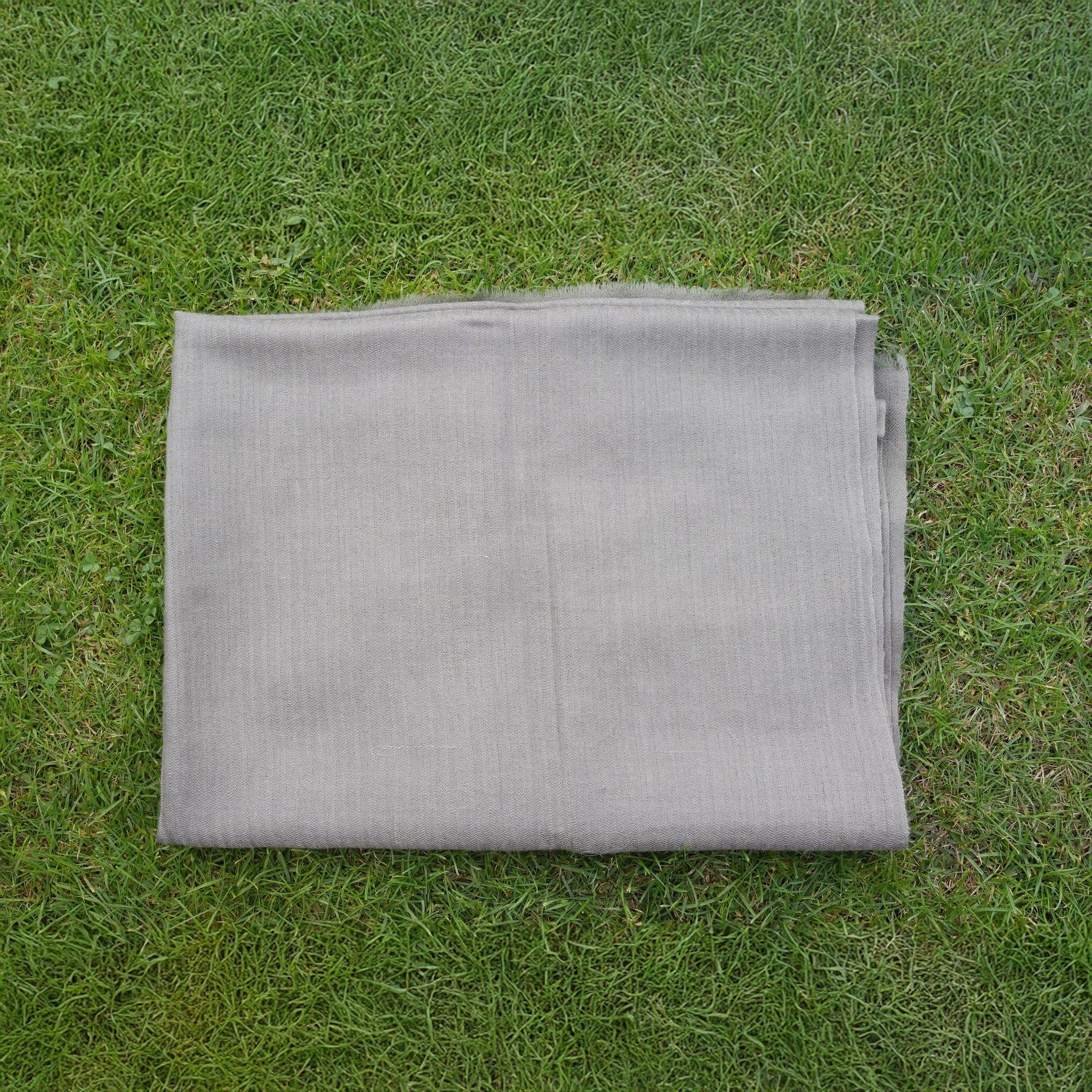 Pashmina Gray Zari Stole