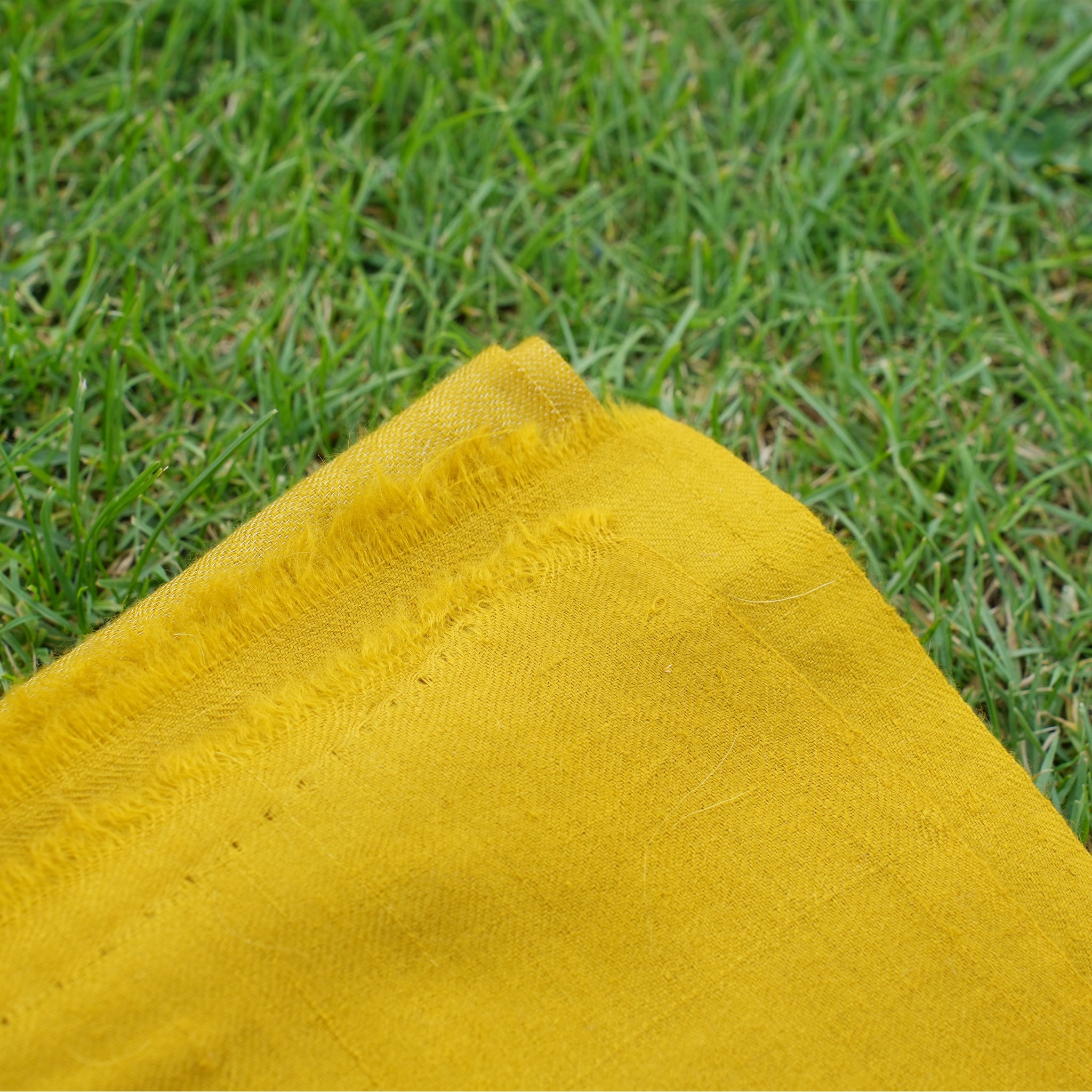 Pashmina Zari Mustard Stole