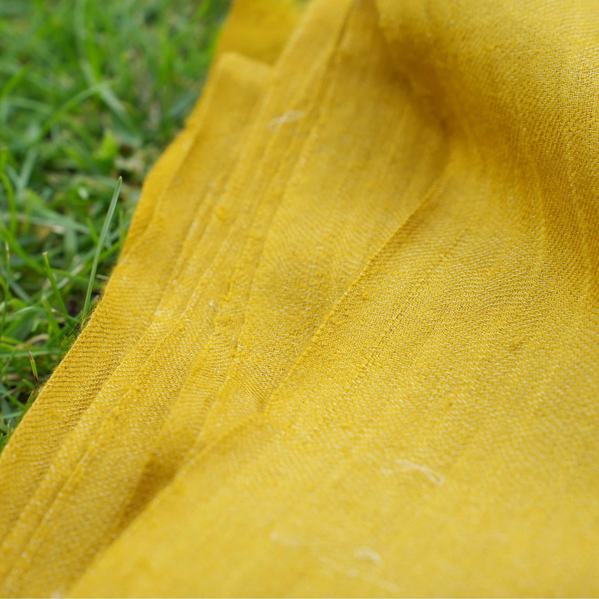 Pashmina Zari Mustard Stole