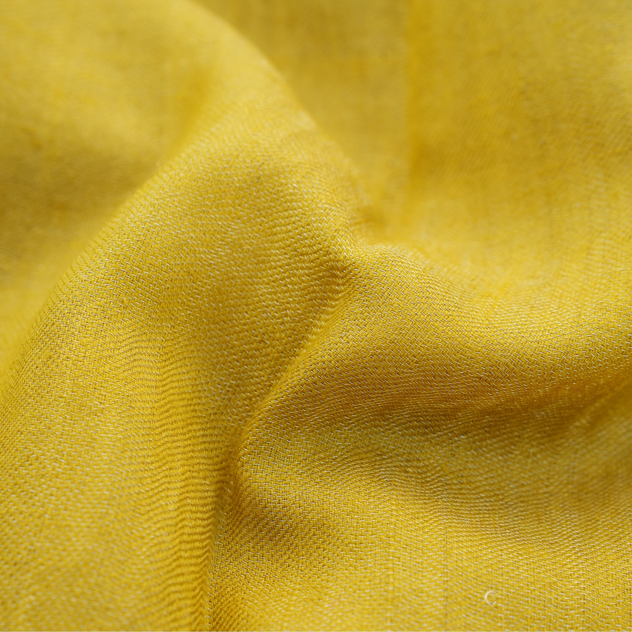 Pashmina Zari Mustard Stole