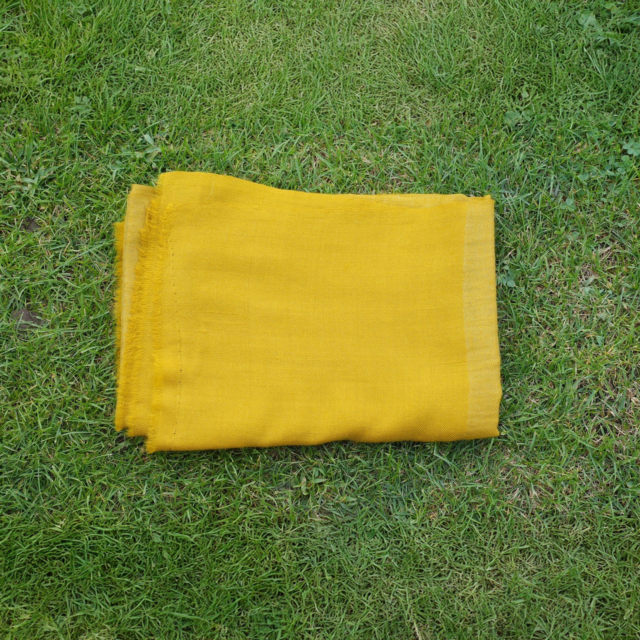 Pashmina Zari Mustard Stole
