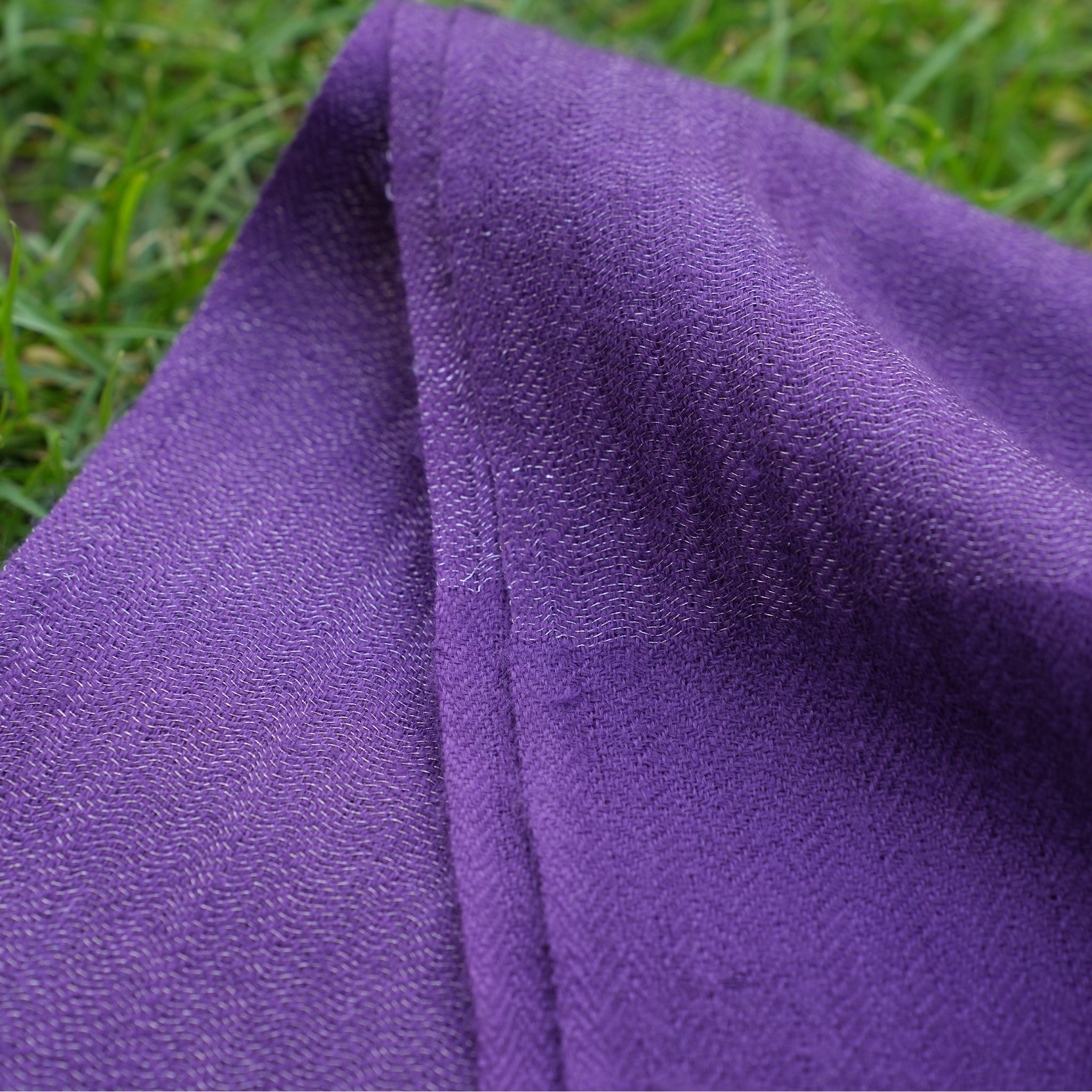 Pashmina Zari Prominent Purple Stole