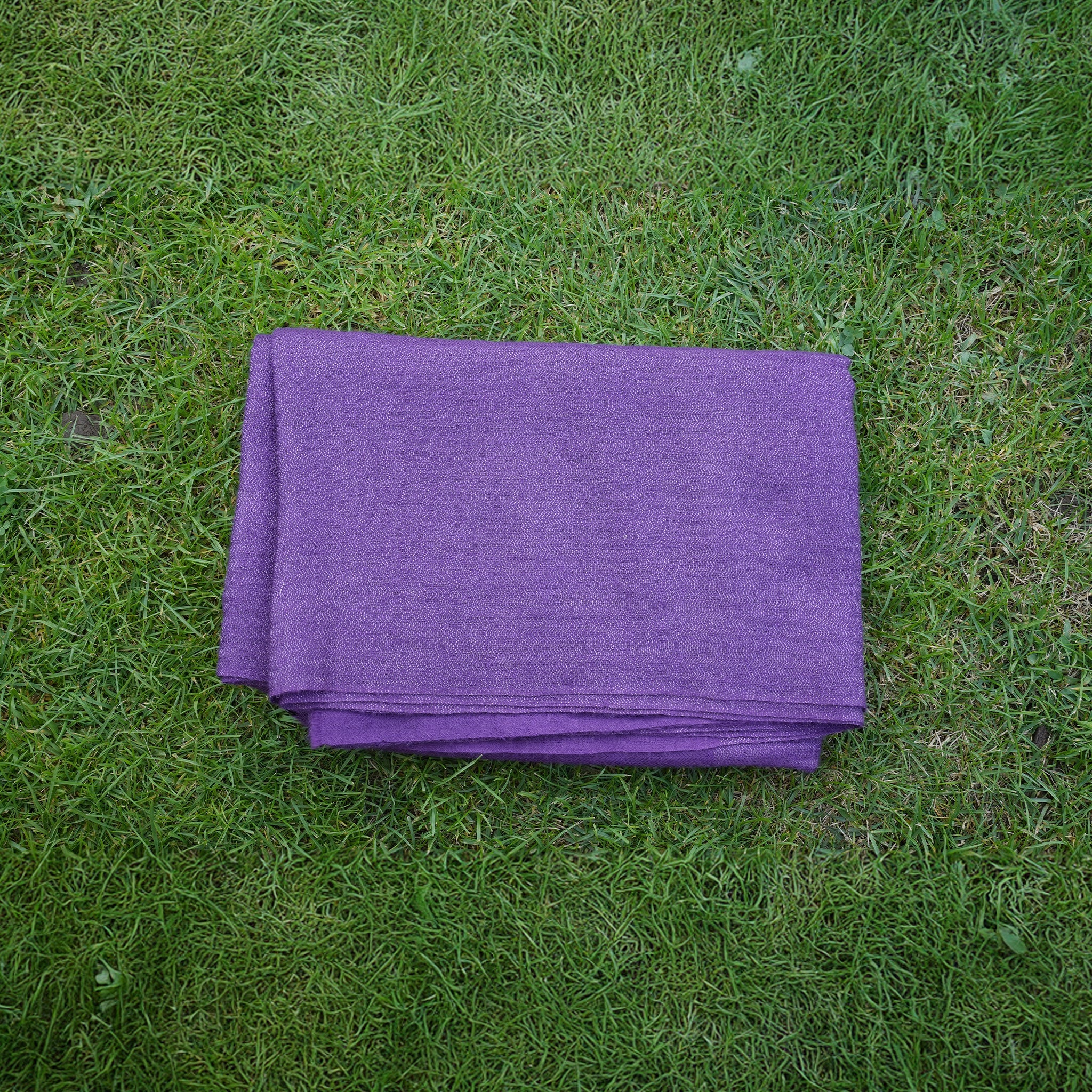 Pashmina Zari Prominent Purple Stole