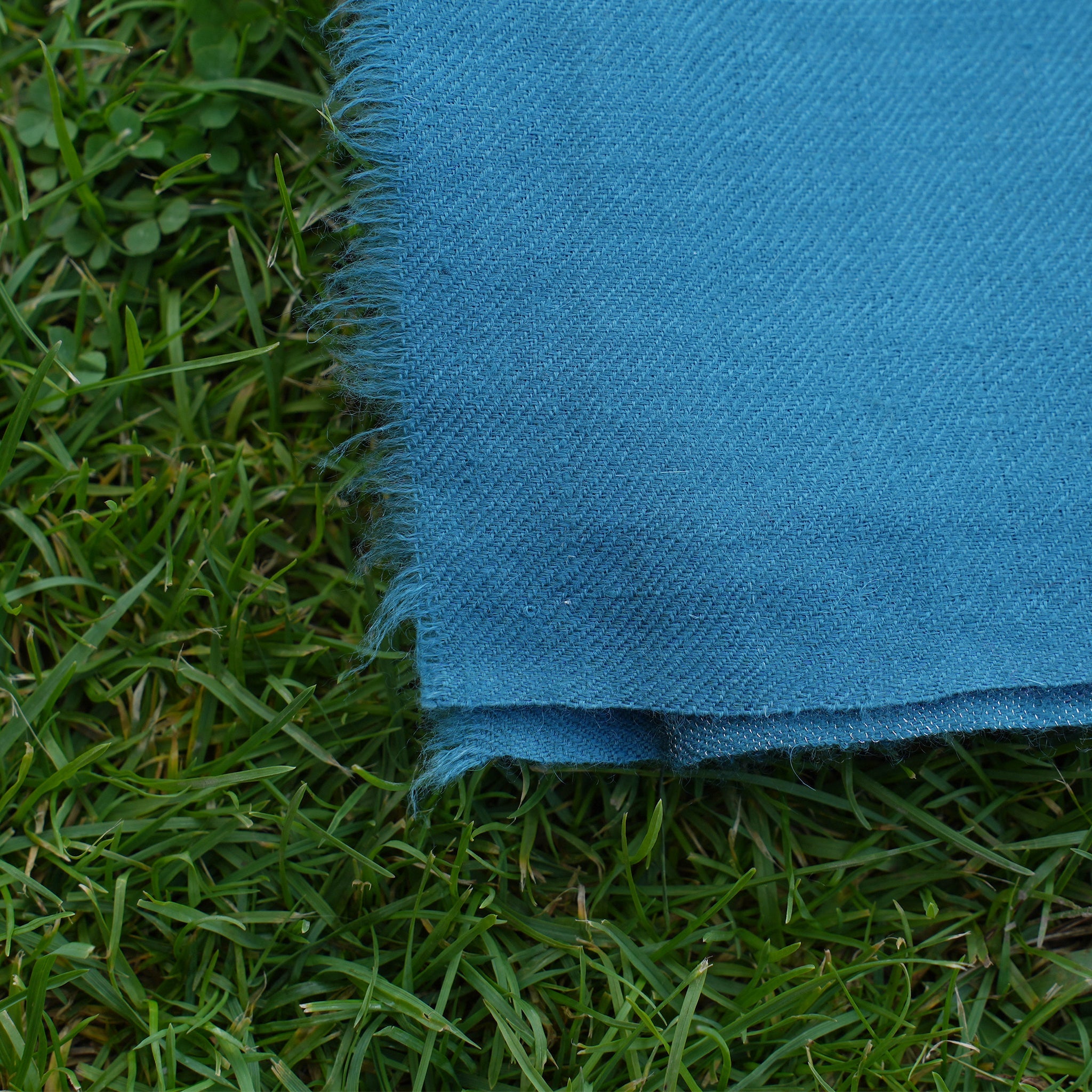 Pashmina Zari Stole