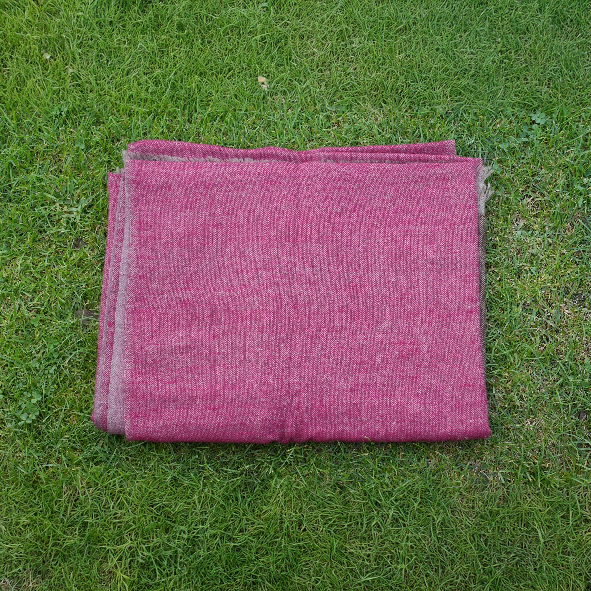 The Golden Ikat Fusion Pashmina Stole