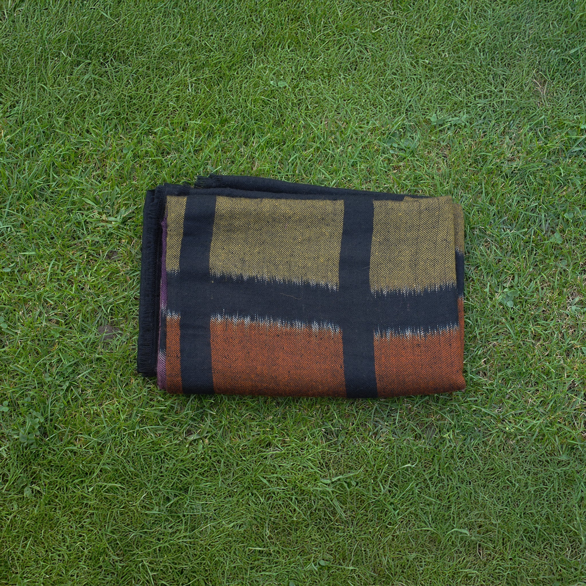 The Rust & Gold Ikat Pashmina shawl