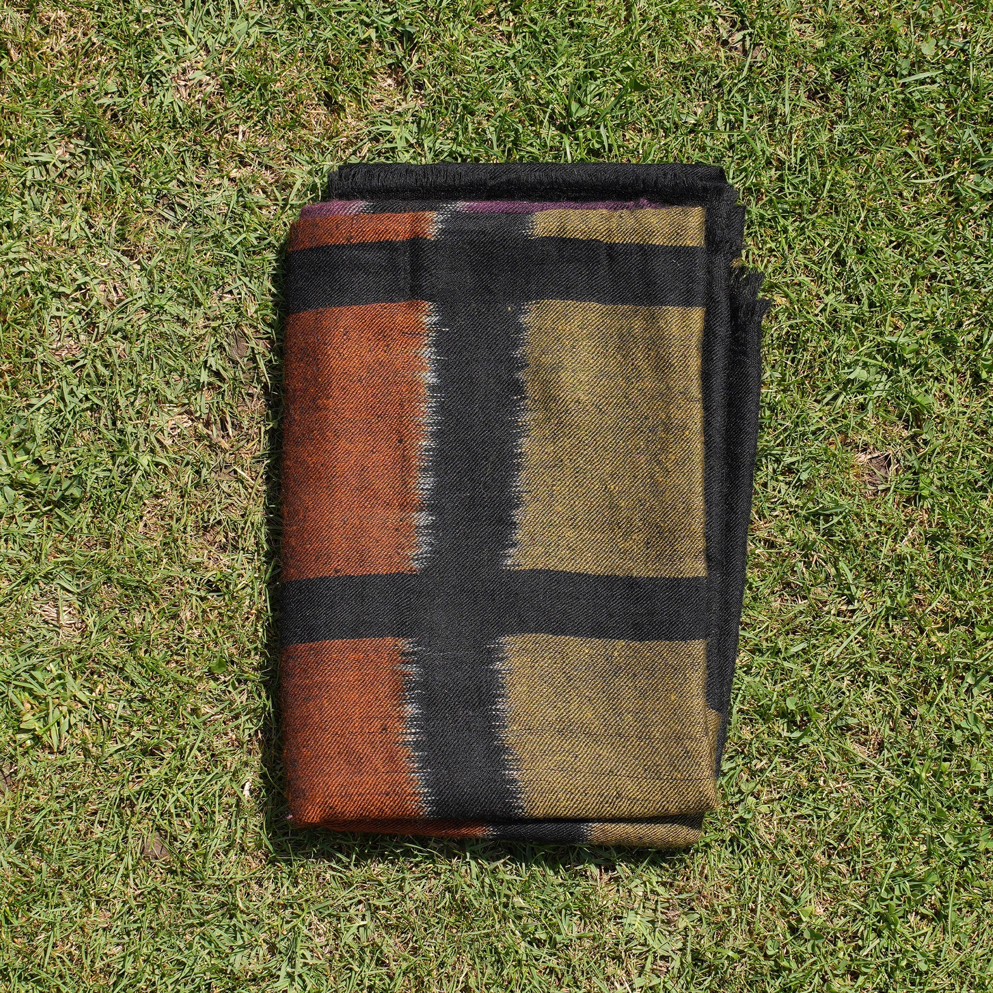 The Rust & Gold Ikat Pashmina shawl