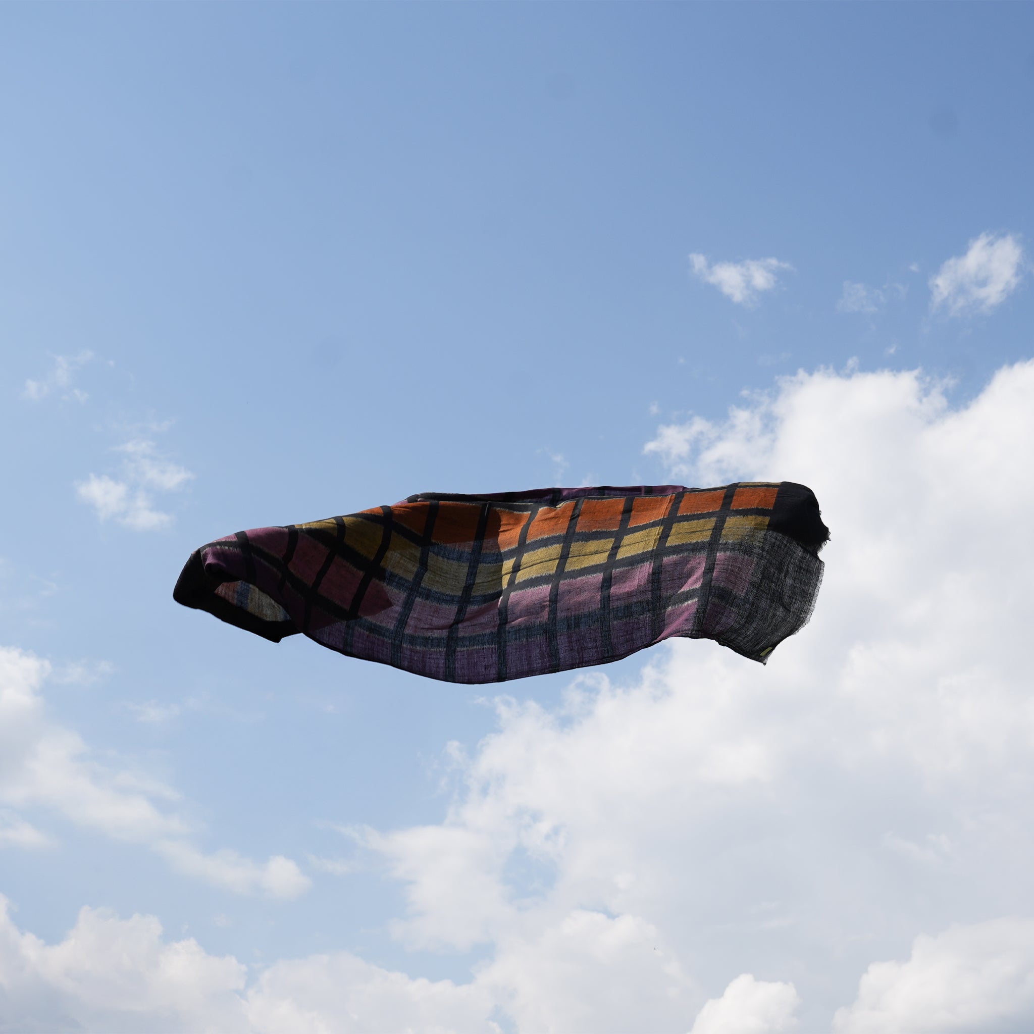 The Rust & Gold Ikat Pashmina shawl
