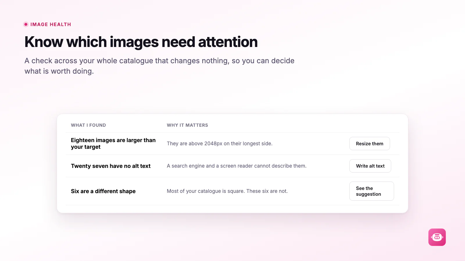 The Miko Bulk Image Resizer image health report listing oversized images, images with no alt text, and images that do not match the catalogue shape