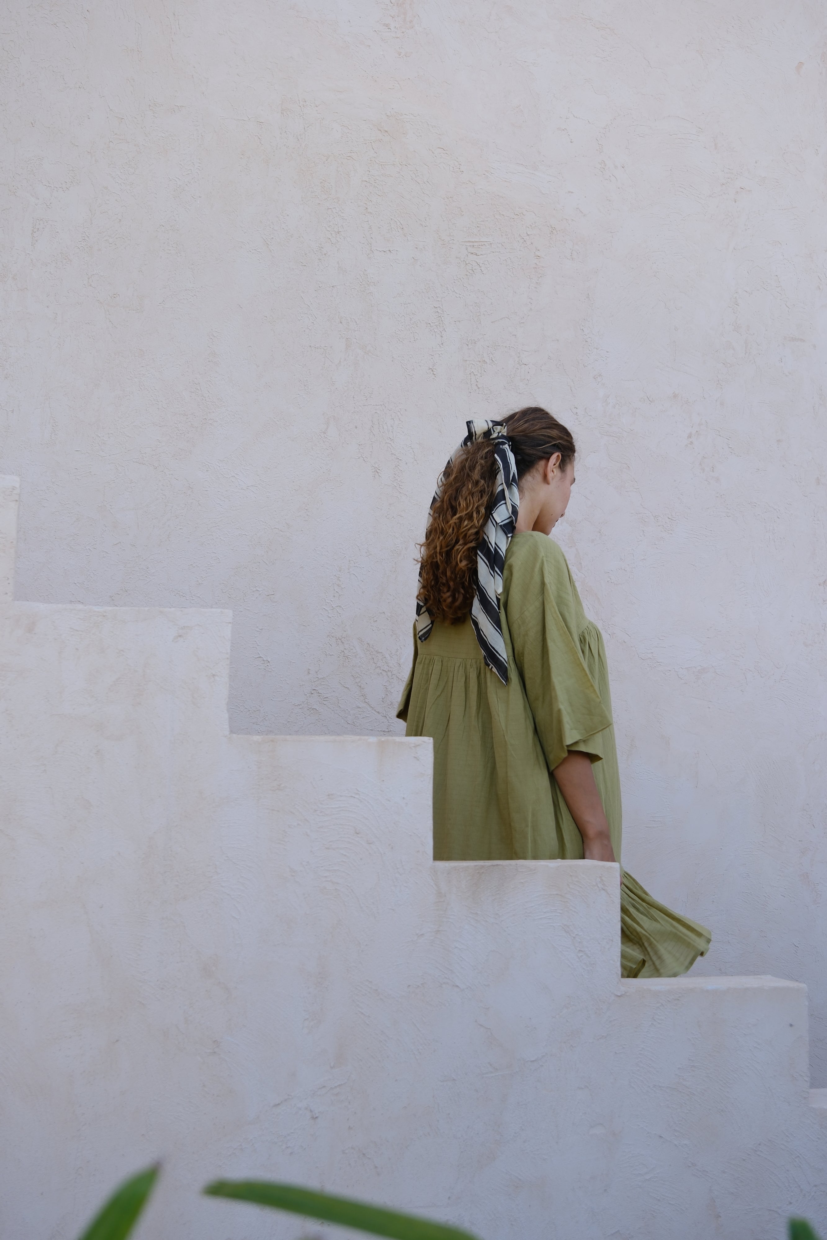 Zebra Stroll Bandana