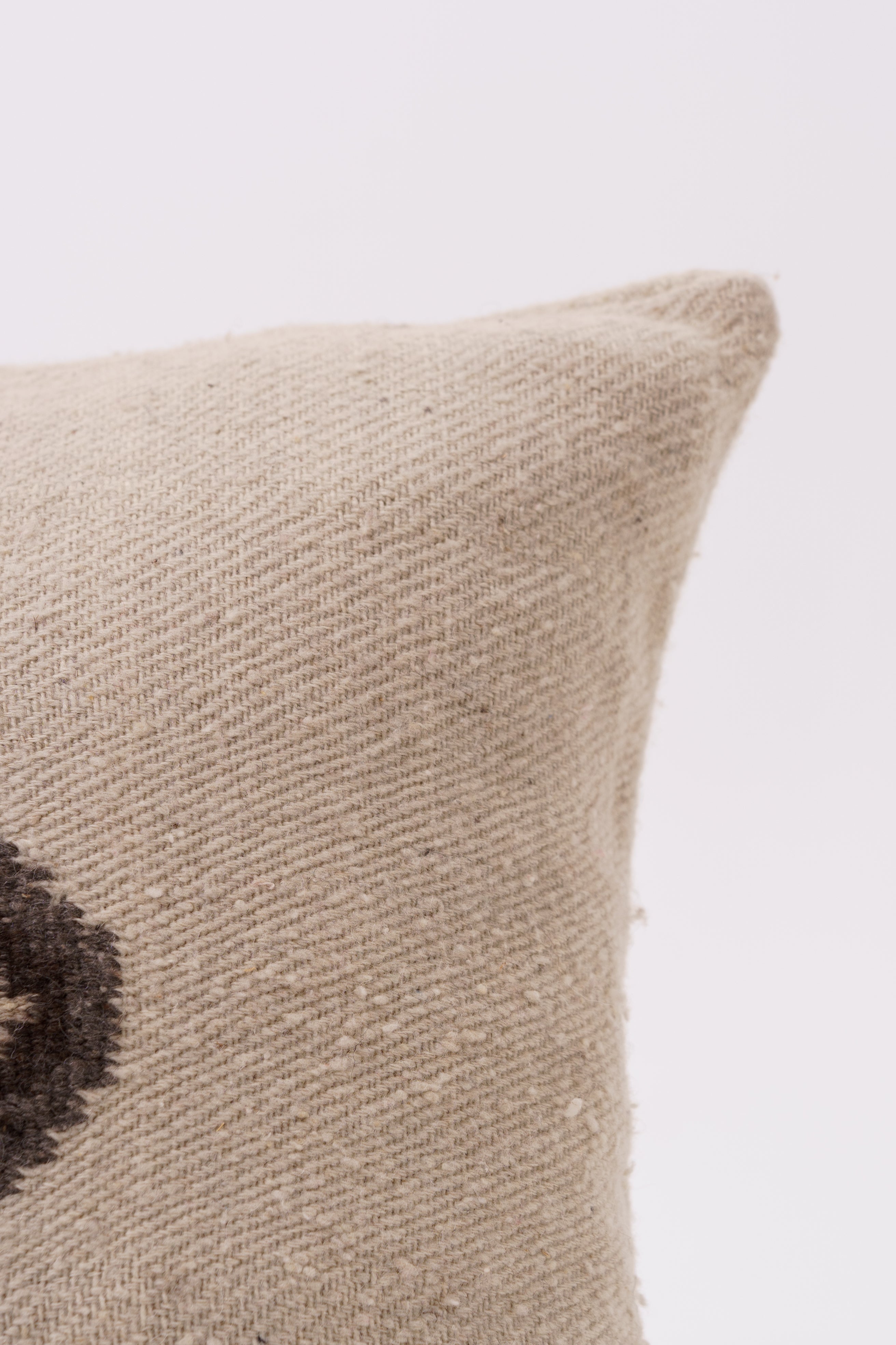 Himalayan Throw Pillow