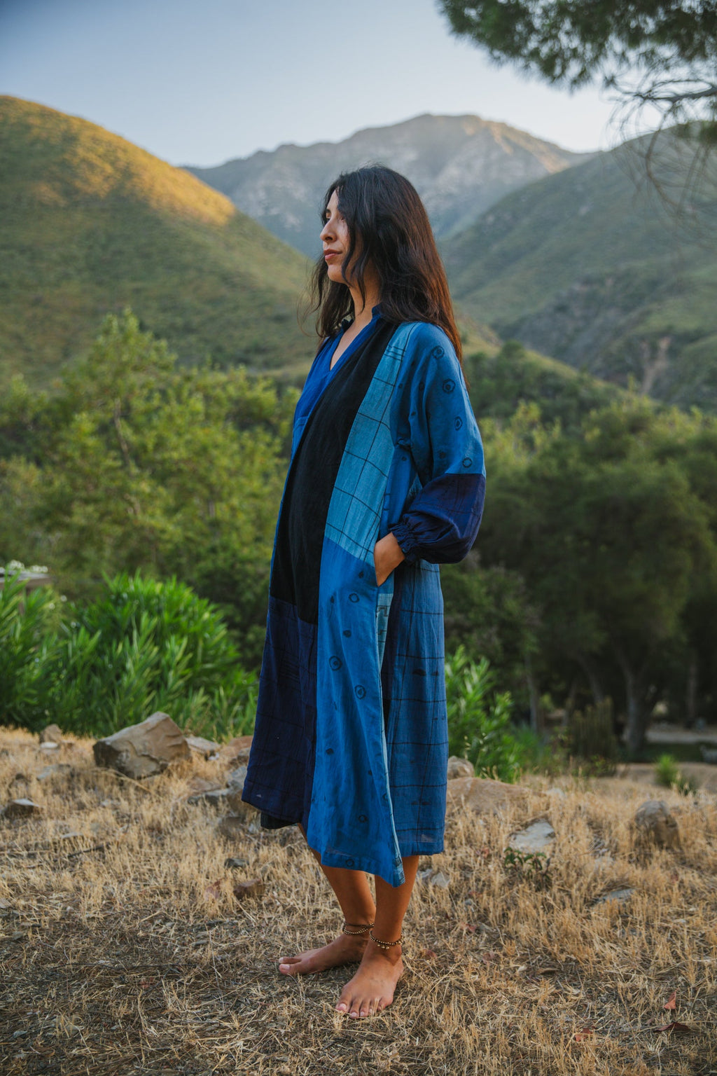 Hudson Indigo Dress