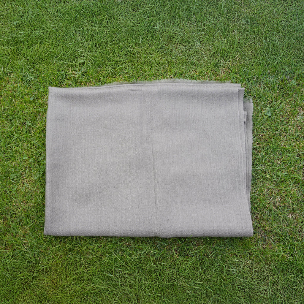 Pashmina Gray Zari Stole