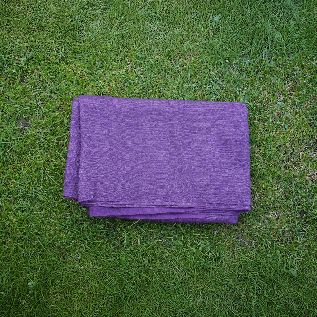 Pashmina Zari Prominent Purple Stole