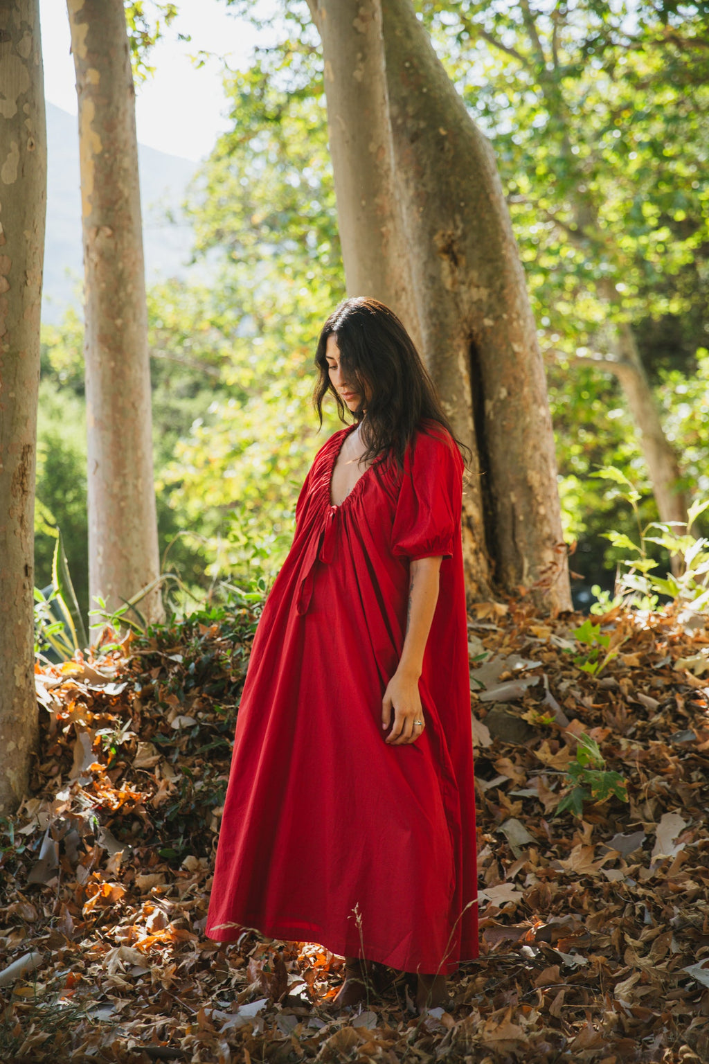 Central Park Red dress