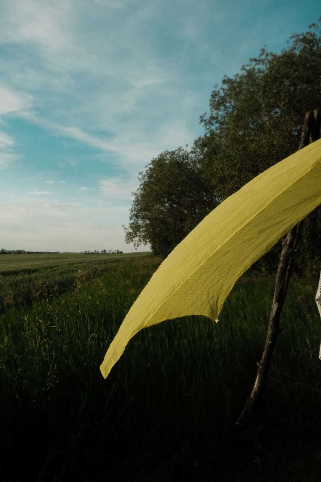 Yellow striped bandana handkerchief by World of Crow - versatile cotton accessory for head, neck, and styling