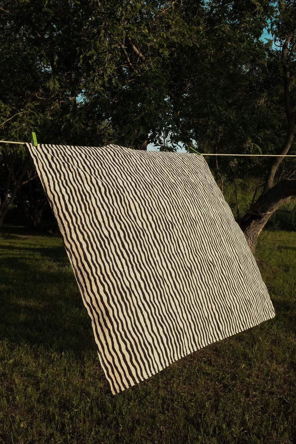 Zebra Stripe Bandana